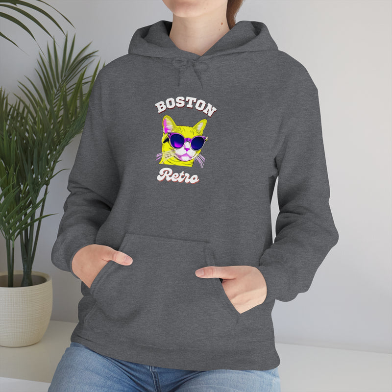 BOSTON RETRO-Unisex Heavy Blend Hooded Sweatshirt (VARIETY OF COLORS)