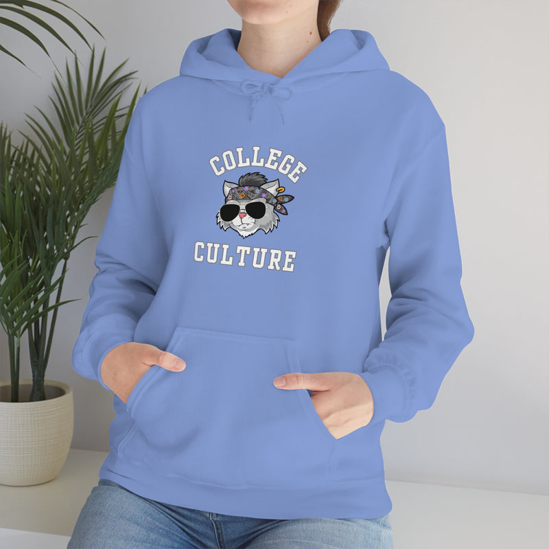 COLLEGE CULTURE- Unisex Heavy Blend Hooded Sweatshirt (VARIETY OF COLORS)