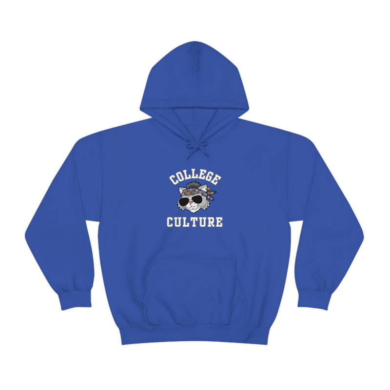 COLLEGE CULTURE- Unisex Heavy Blend Hooded Sweatshirt (VARIETY OF COLORS)