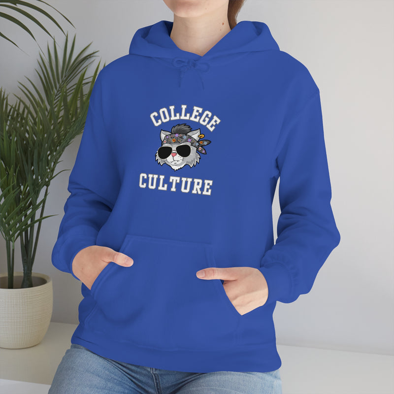 COLLEGE CULTURE- Unisex Heavy Blend Hooded Sweatshirt (VARIETY OF COLORS)