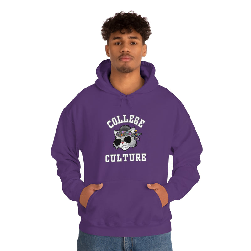 COLLEGE CULTURE- Unisex Heavy Blend Hooded Sweatshirt (VARIETY OF COLORS)