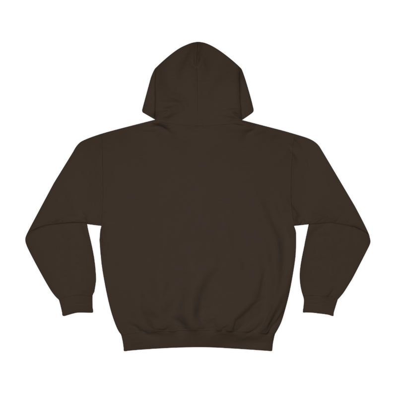 COLLEGE CULTURE- Unisex Heavy Blend Hooded Sweatshirt (VARIETY OF COLORS)